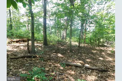 Lot 4A1 Larkin Ridge Road, Front Royal, VA 22630 - Photo 11