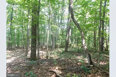 Lot 5A Larkin Ridge Road, Front Royal, VA 22630 - Photo 7