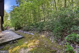 42 Foxridge Ln, Front Royal, VA 22630 - Photo 7