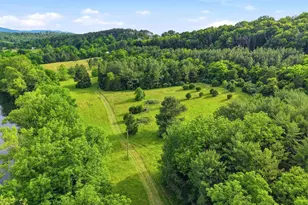 527 Panhandle Rd, Bentonville, VA 22610 - Photo 49