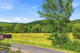 527 Panhandle Rd, Bentonville, VA 22610 - Photo 35