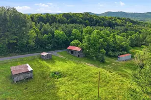 527 Panhandle Rd, Bentonville, VA 22610 - Photo 45