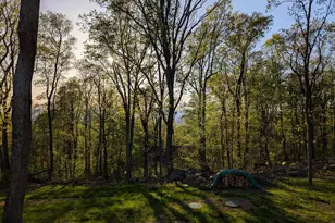 1099 High Top Rd, Linden, VA 22642 - Photo 47
