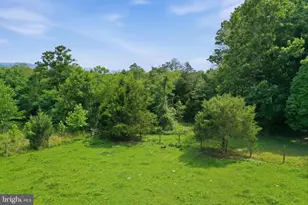 1201 Pilgrims Way, Bentonville, VA 22610 - Photo 55