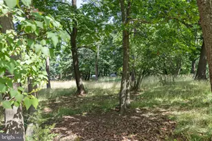 413 Grand Ave, Front Royal, VA 22630 - Photo 65