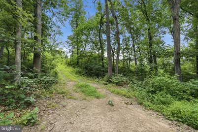 Messick Road, Strasburg, VA 22657 - Photo 15