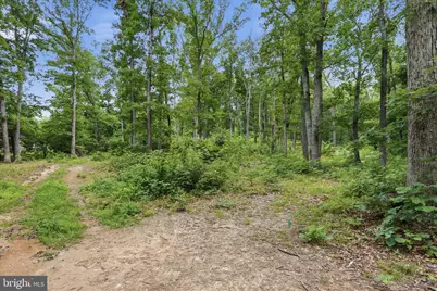 Messick Road, Strasburg, VA 22657 - Photo 3