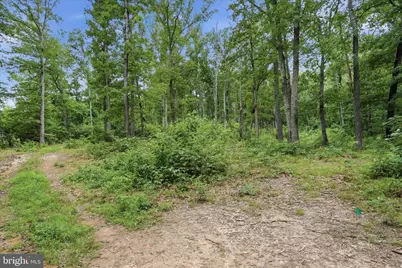 Messick Road, Strasburg, VA 22657 - Photo 9