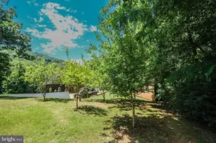 1729 Buck Mountain Rd, Bentonville, VA 22610 - Photo 89
