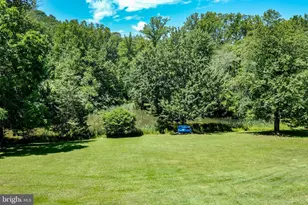 1729 Buck Mountain Rd, Bentonville, VA 22610 - Photo 75