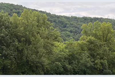 1996 Buck Mountain Road, Bentonville, VA 22610 - Photo 3