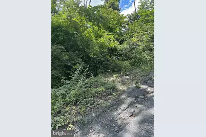 2Lots; 463, 462 Reid Drive, Front Royal, VA 22630 - Photo 3