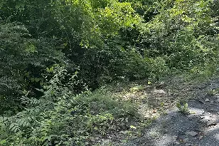 2Lots 463 462 Reid Dr, Front Royal, VA 22630 - Photo 3