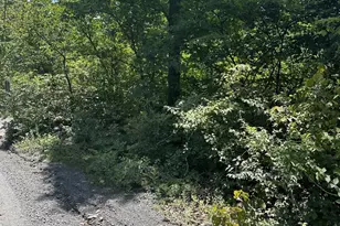 2Lots 463 462 Reid Dr, Front Royal, VA 22630 - Photo 5