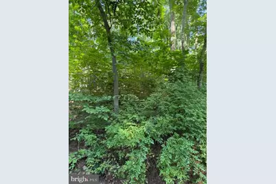 0 Lot 413 Easy Hollow Road #LOT 413, Front Royal, VA 22630 - Photo 3
