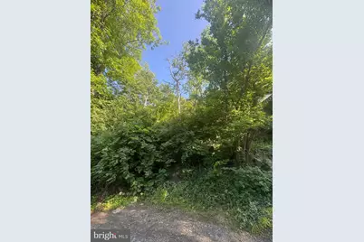 Bennys Beach Road, Front Royal, VA 22630 - Photo 3