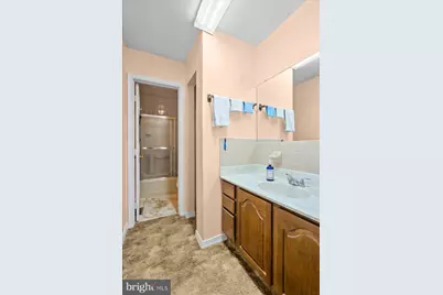 298 McDaniel Lane, Middletown, VA 22645 - Photo 19