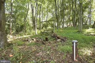 461 Rome Beauty Dr, Linden, VA 22642 - Photo 47