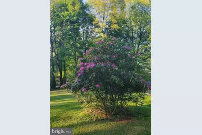 461 Rome Beauty Drive, Linden, VA 22642 - Photo 51
