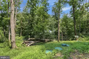 91 Acorn Nut Ln, Front Royal, VA 22630 - Photo 27