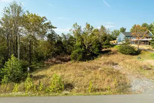 0 Holiday Ct, Bentonville, VA 22610 - Photo 5