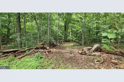 Lot 202 & 203 Bobbie Court, Front Royal, VA 22630 - Photo 5