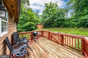 368 Freeze Rd, Linden, VA 22642 - Photo 13