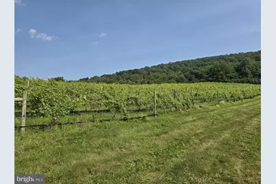 Red Barn Lane, Linden, VA 22642 - Photo 11