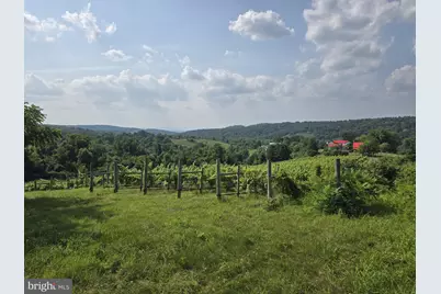Red Barn Lane, Linden, VA 22642 - Photo 3