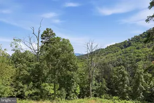 737 Lower Valley Rd, Strasburg, VA 22657 - Photo 31