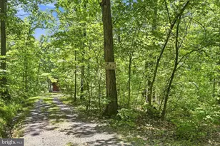 558 Catron Ridge Rd, Bentonville, VA 22610 - Photo 51