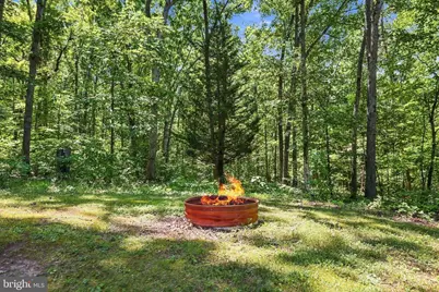 558 Catron Ridge Road, Bentonville, VA 22610 - Photo 43