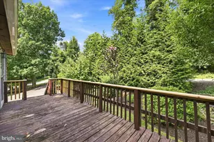 32 Parnassus Rd, Linden, VA 22642 - Photo 49