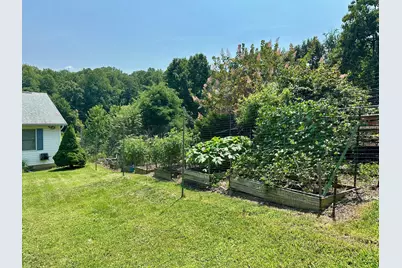 376 Black Twig Road, Linden, VA 22642 - Photo 11