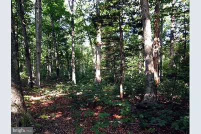 105 Ridgemont Road, Middletown, VA 22645 - Photo 7