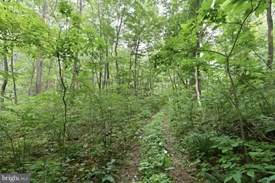 Gooney Manor Loop, Bentonville, VA 22610 - Photo 3