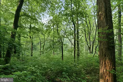 Gooney Manor Loop, Bentonville, VA 22610 - Photo 1
