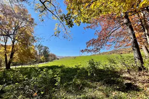 63 Buck Mountain Rd, Bentonville, VA 22610 - Photo 65