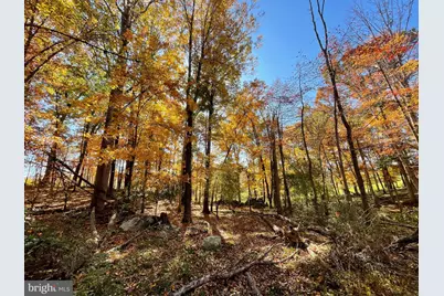 63 Buck Mountain Road, Bentonville, VA 22610 - Photo 75