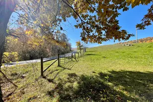 63 Buck Mountain Rd, Bentonville, VA 22610 - Photo 69