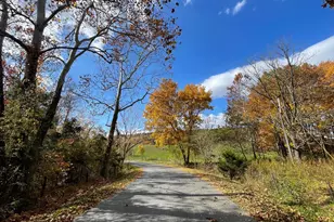 63 Buck Mountain Rd, Bentonville, VA 22610 - Photo 47
