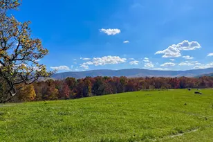 63 Buck Mountain Rd, Bentonville, VA 22610 - Photo 59