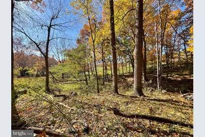 63 Buck Mountain Road, Bentonville, VA 22610 - Photo 73