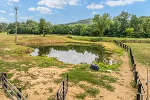 5616 Strasburg Rd, Strasburg, VA 22657 - Photo 15