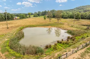 5616 Strasburg Rd, Strasburg, VA 22657 - Photo 13
