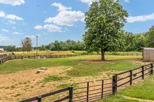 5616 Strasburg Rd, Strasburg, VA 22657 - Photo 9