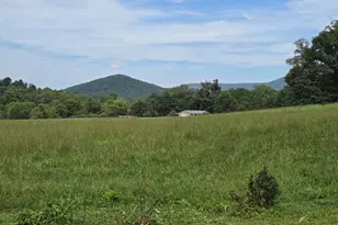 4443 Bentonville Rd, Bentonville, VA 22610 - Photo 3