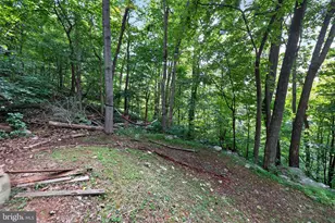 261 Rocky Spring Ln, Linden, VA 22642 - Photo 5
