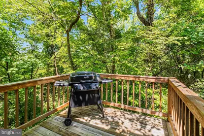 437 Joans Quadrangle Road, Front Royal, VA 22630 - Photo 17