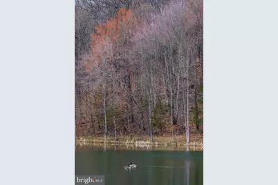 1331 Drummer Hill Road, Front Royal, VA 22630 - Photo 25